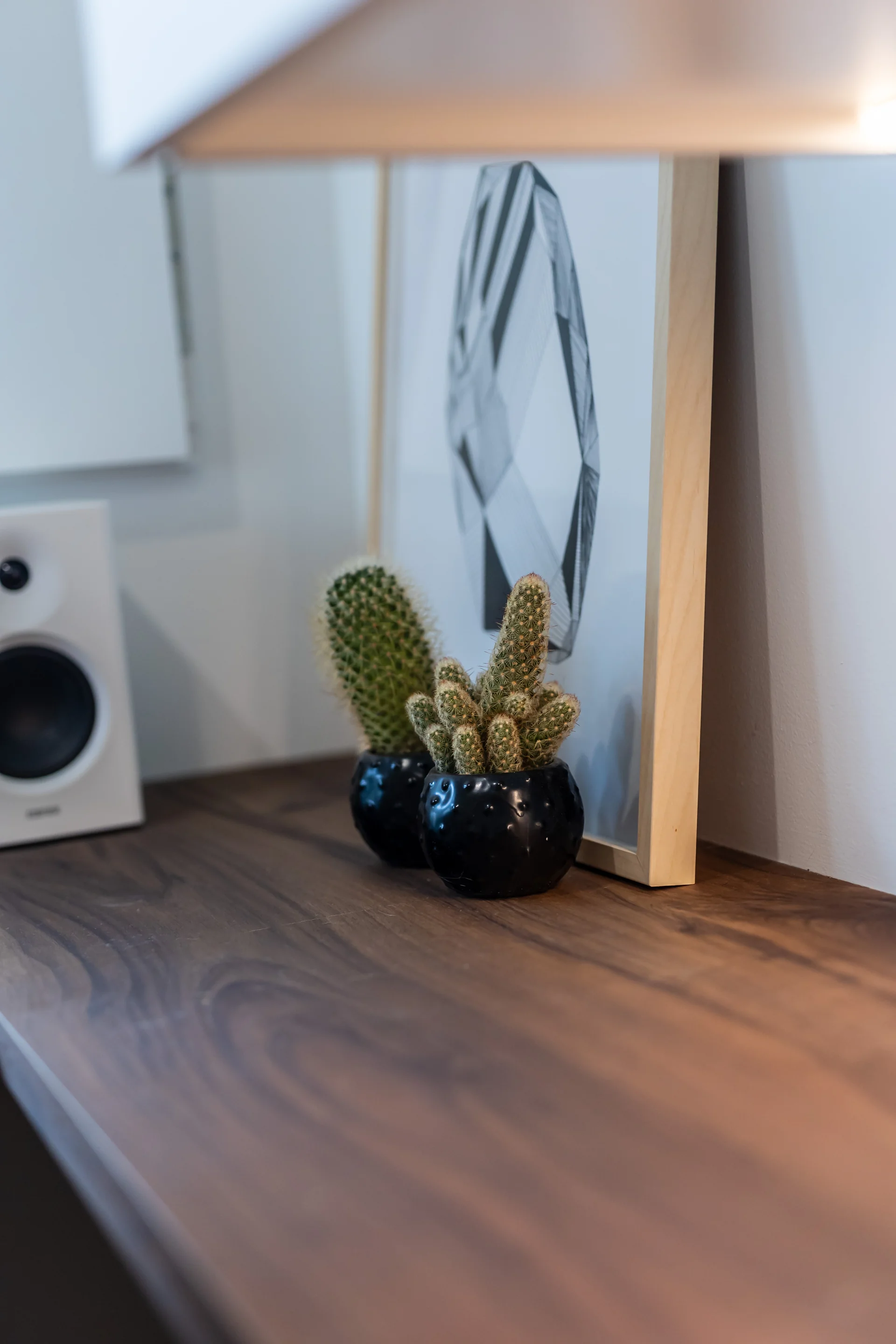 Projet Butternut, photo 41
